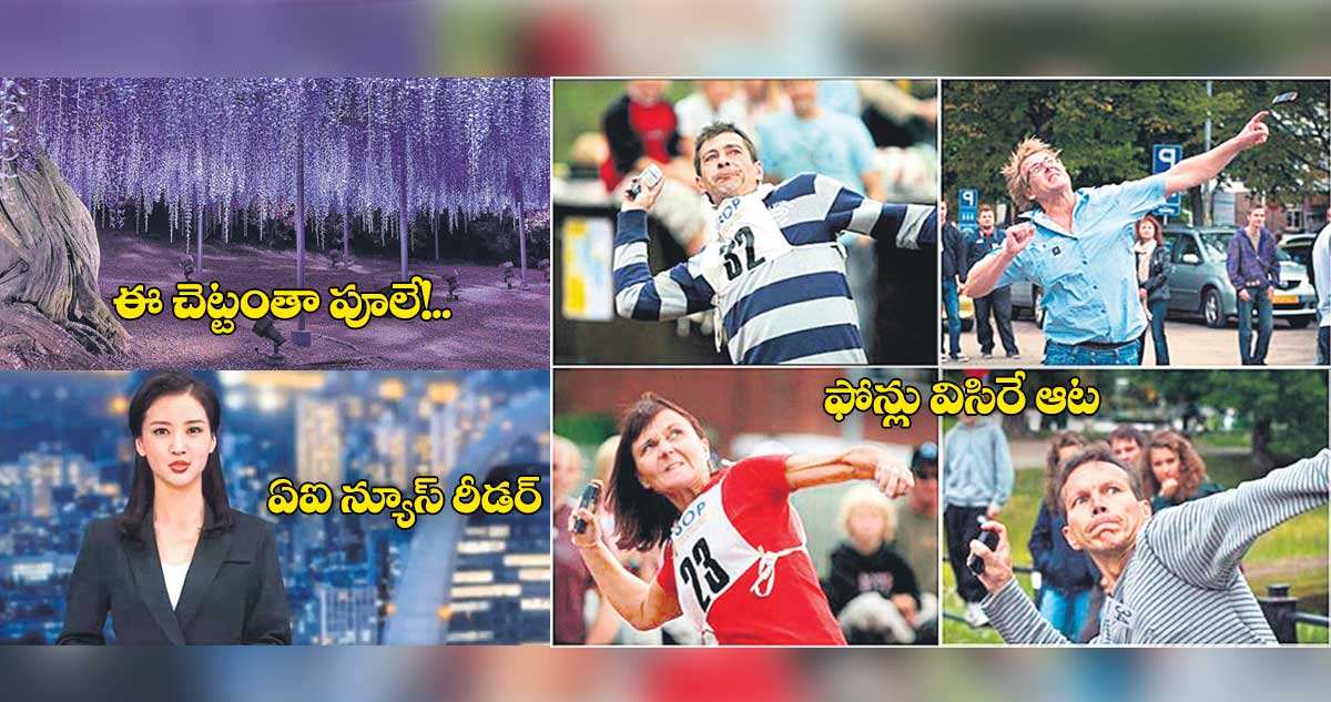 అవీ..ఇవీ..  ఈ చెట్టంతా పూలే!