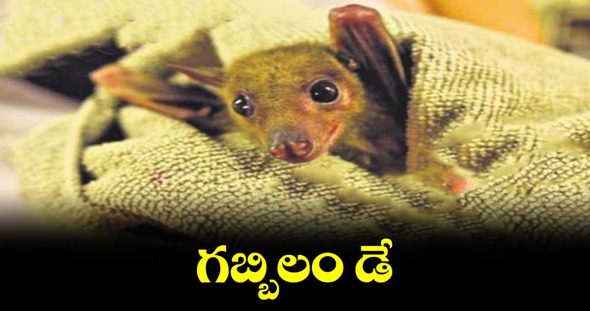 ఏప్రిల్ 17న ‘ఇంటర్నేషనల్ బ్యాట్ అప్రిసియేషన్ డే