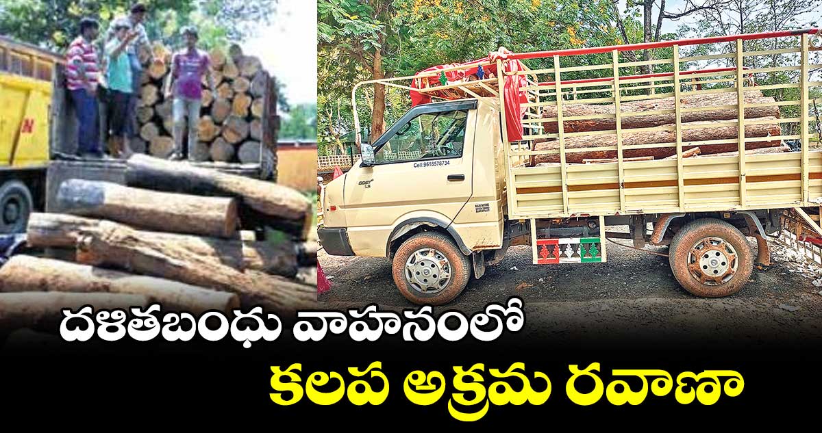 ఛత్తీస్​గఢ్​ నుంచి కలప అక్రమ రవాణా