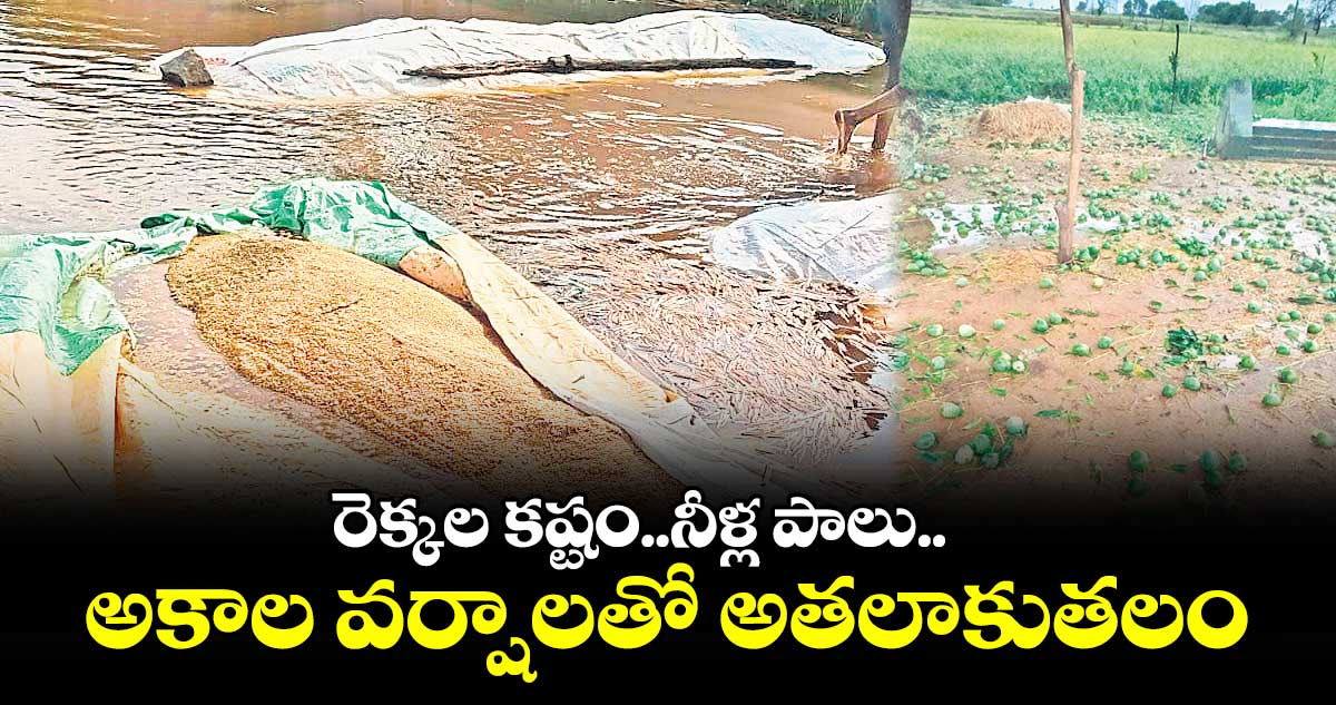 రెక్కల కష్టం..నీళ్ల పాలు..అకాల వర్షాలతో అతలాకుతలం