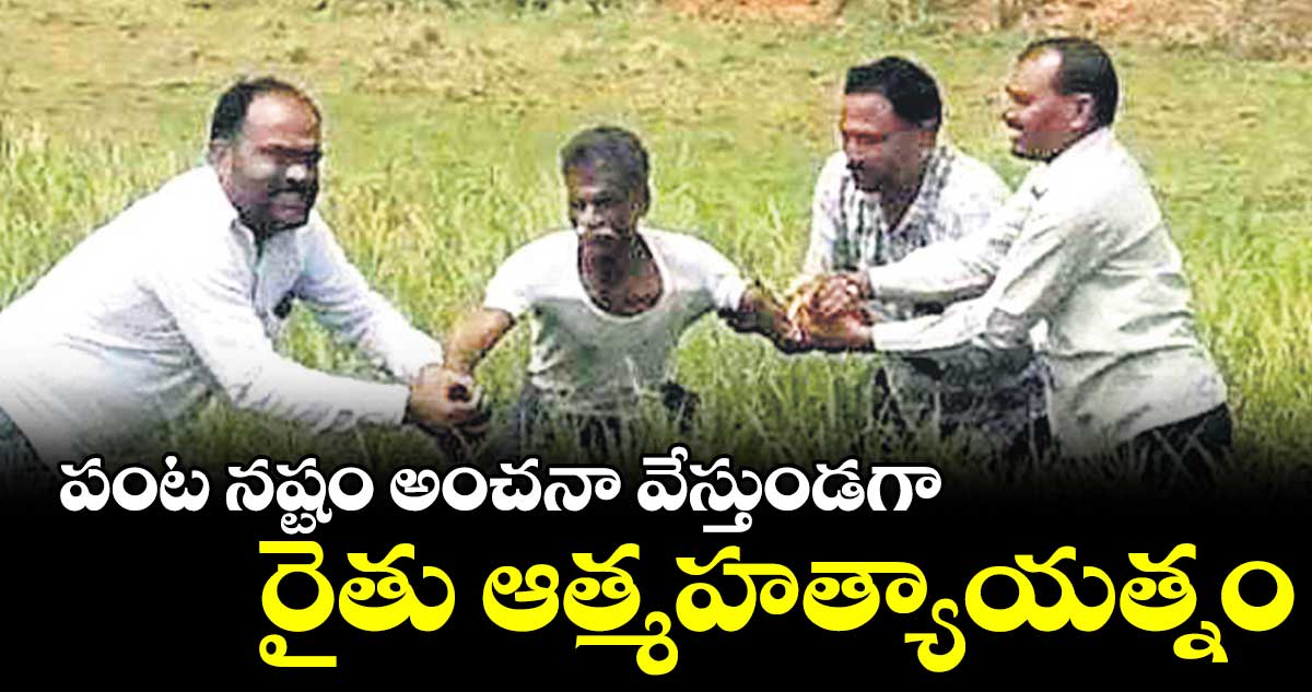 పంట నష్టం అంచనా వేస్తుండగా రైతు ఆత్మహత్యాయత్నం