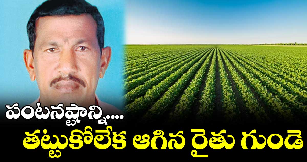 రాజన్న సిరిసిల్ల జిల్లాలో గుండెపోటుతో రైతు మృత్యువాత