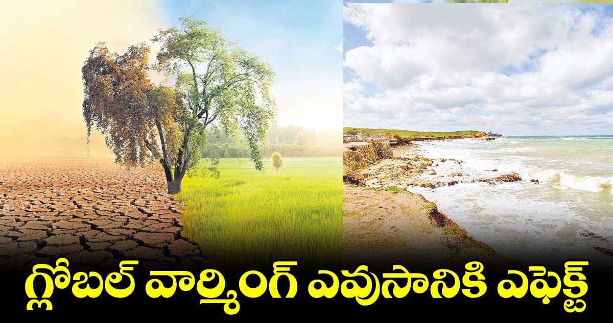 గ్లోబల్ వార్మింగ్ ఎవుసానికి ఎఫెక్ట్