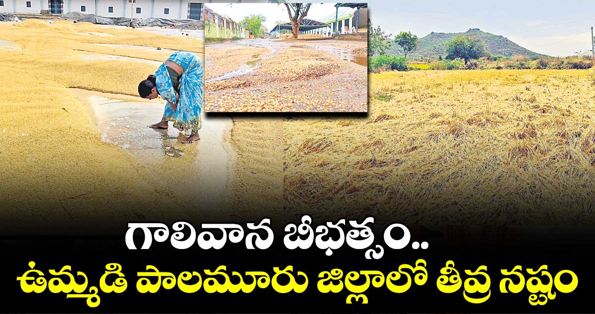  గాలివాన బీభత్సం..  ఉమ్మడి పాలమూరు జిల్లాలో తీవ్ర నష్టం