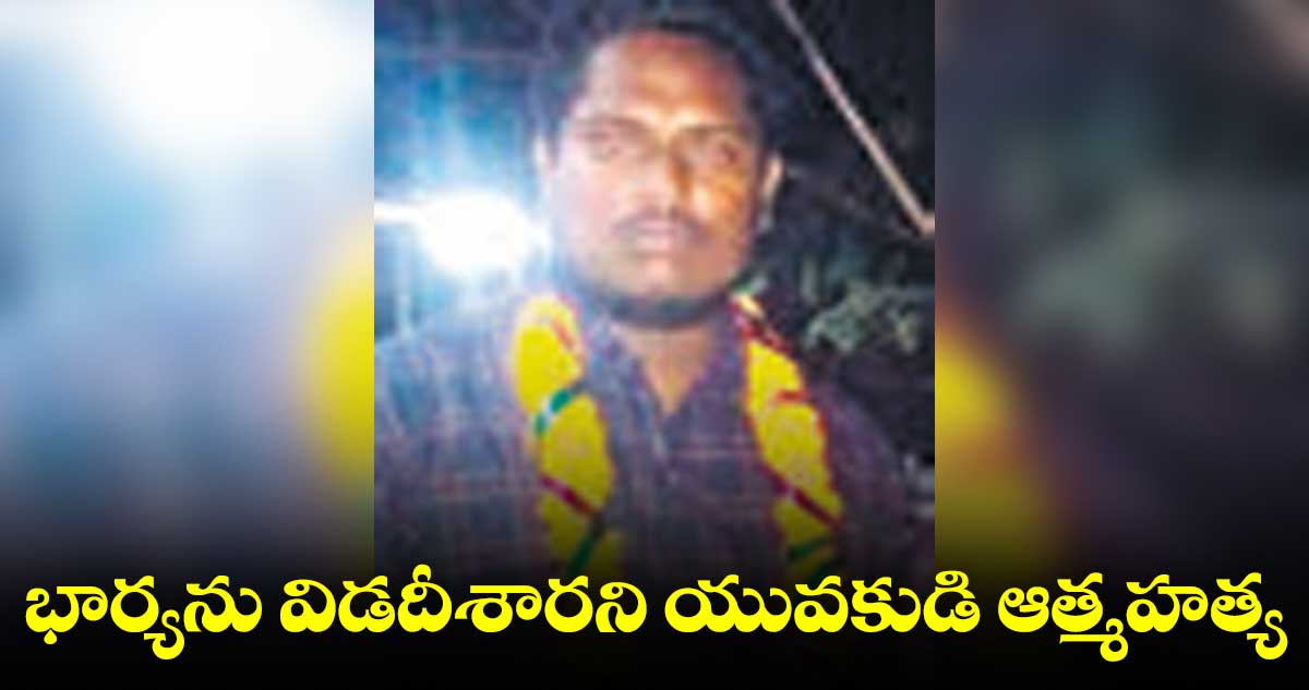 భార్యను విడదీశారని యువకుడి ఆత్మహత్య