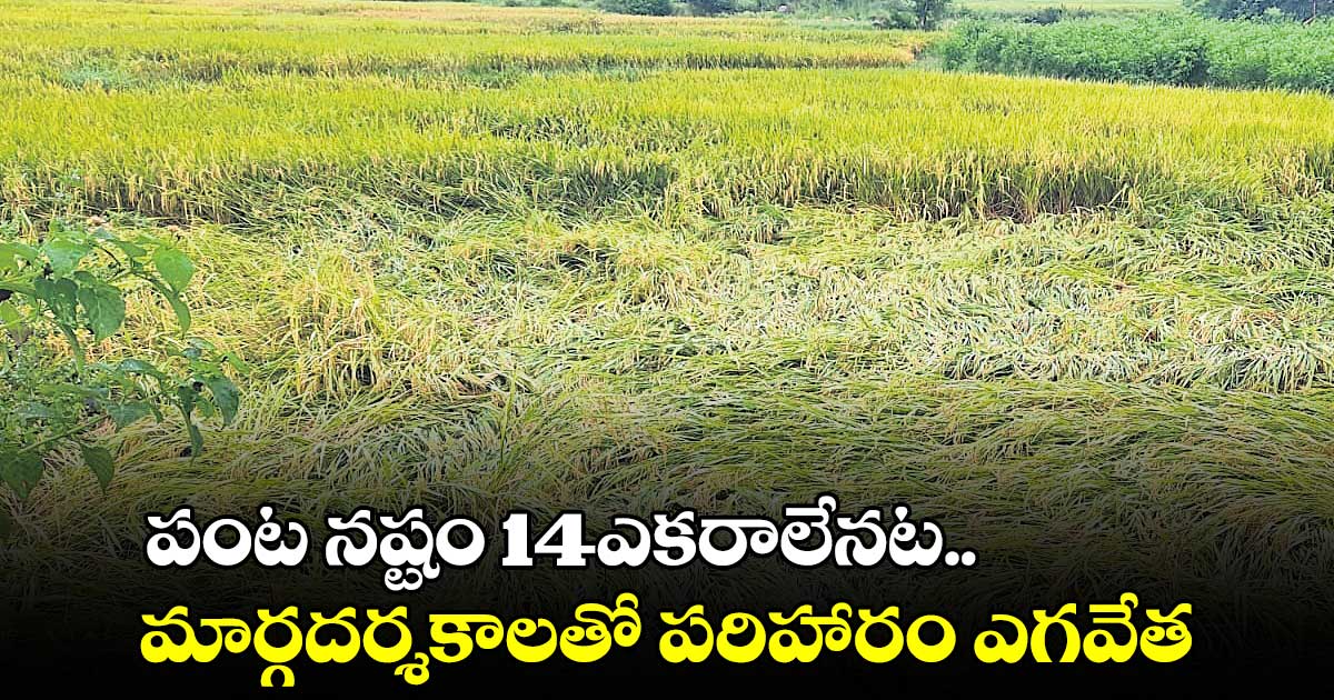 పంట నష్టం పరిహారంపై ప్రభుత్వం కుంటిసాకులు
