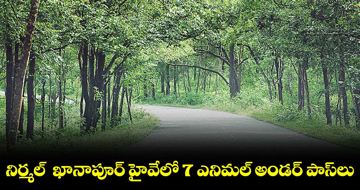 నిర్మల్ - ఖానాపూర్ హైవేలో 7 ఎనిమల్ అండర్ పాస్లు