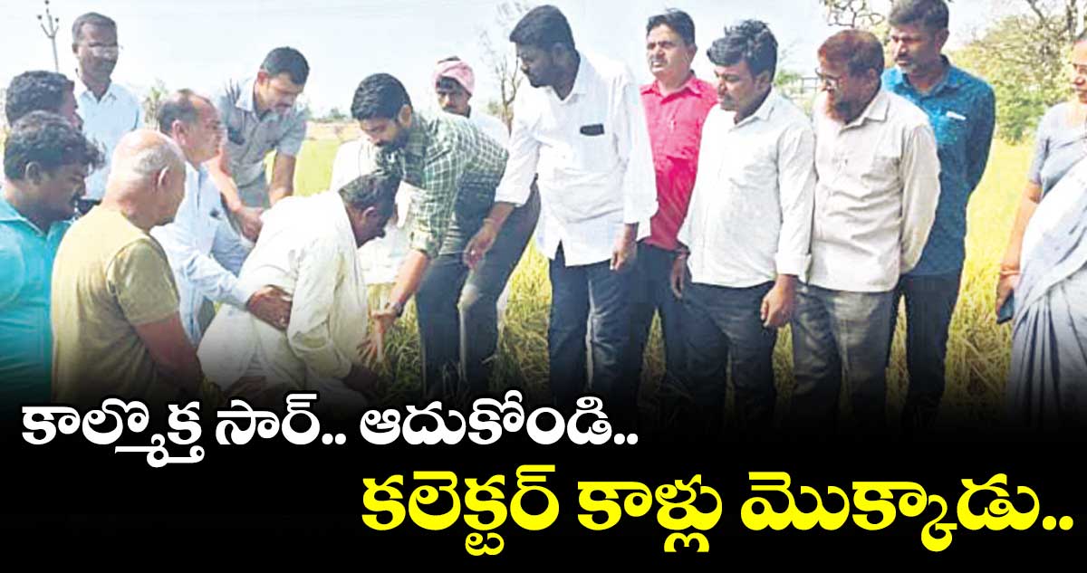 గింజ కూడా చేతికి రాలే.. కాల్మొక్త సార్ మీరే ఆదుకోవాలె