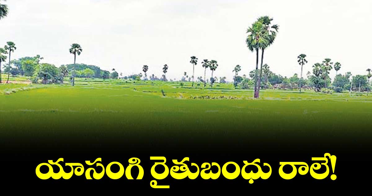 33 వేల 398 రైతులకు అందని రైతు బంధు