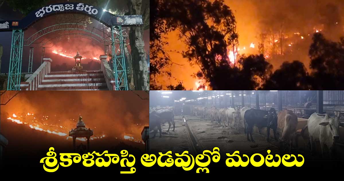 శ్రీకాళహస్తి అడవుల్లో మంటలు