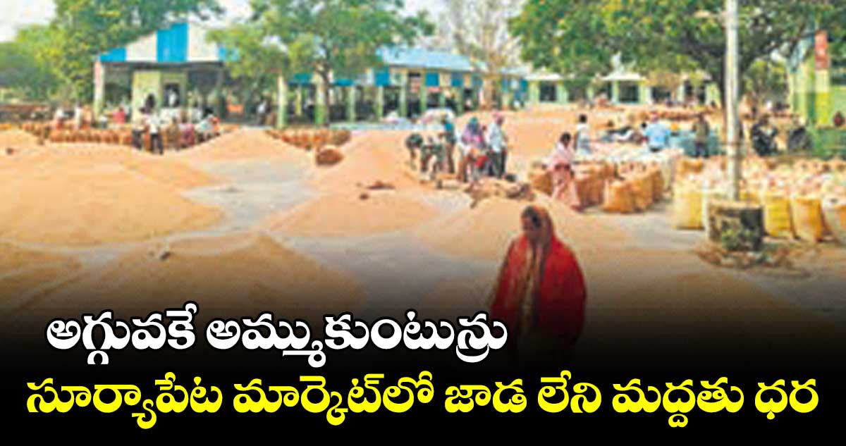 అగ్గువకే అమ్ముకుంటున్రు!.. సూర్యాపేట మార్కెట్​లో జాడ లేని మద్దతు ధర 