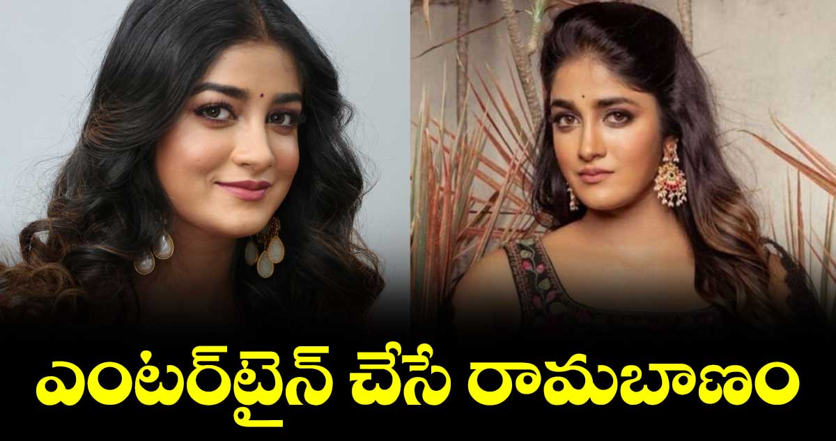 హీరోయిన్గా ఇప్పుడిప్పుడే అడుగులు వేస్తున్నా : డింపుల్ హయతి