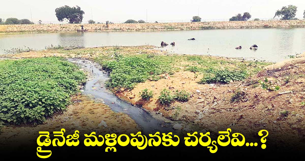 రూ.3 కోట్లతో ట్యాంక్ బండ్ కట్టి మురుగు నీరు నింపుతున్నరు