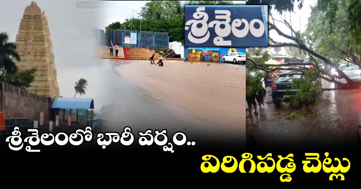 శ్రీశైల దేవస్థానం పరిధిలో భారీ వర్షం