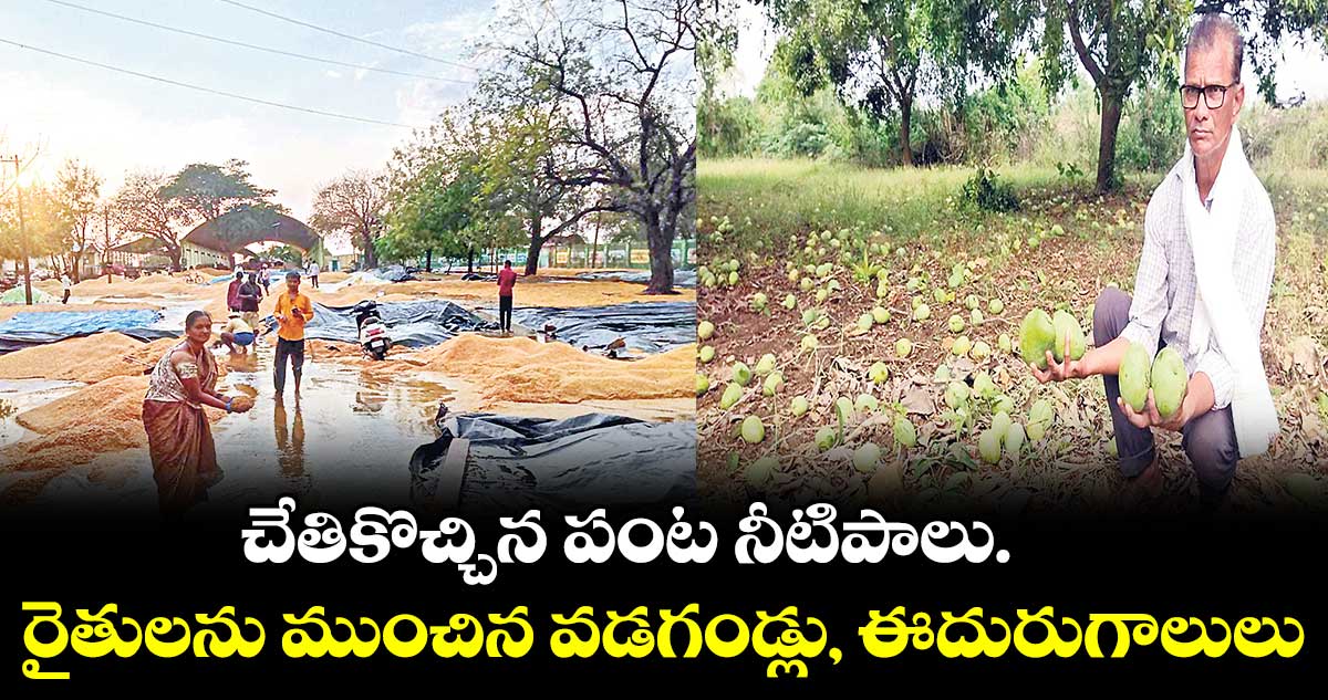 అకాల వర్షాలు రైతులను నట్టేట ముంచాయి