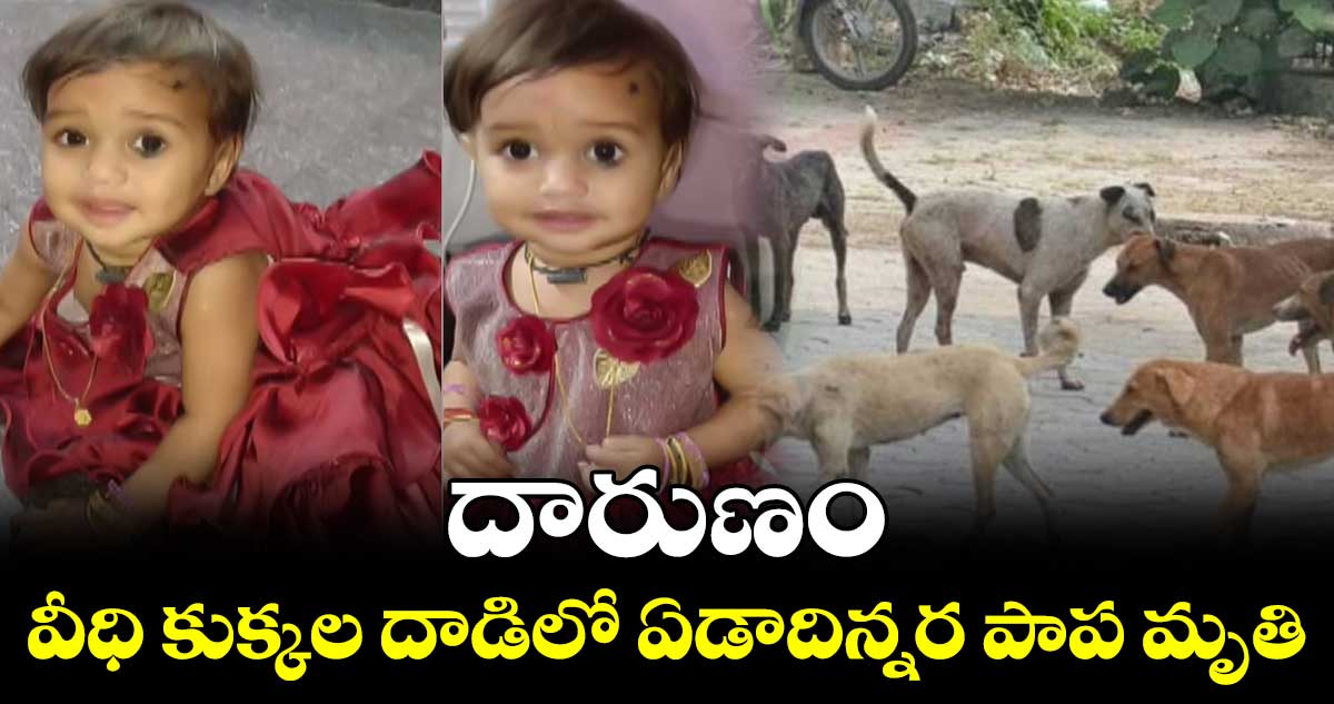 వీధి కుక్కల దాడిలో ఏడాదిన్నర పాప మృతి