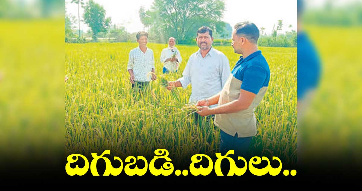 దిగుబడి..దిగులు..