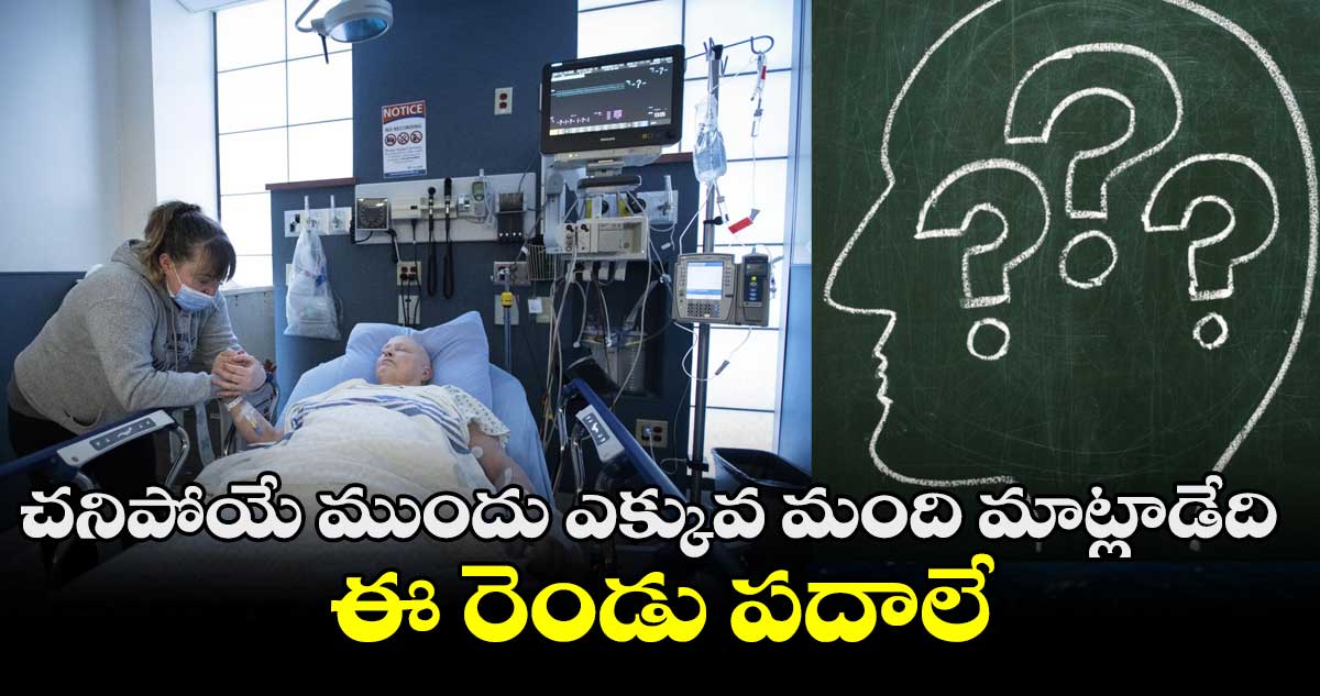 Latest Study : చనిపోయే ముందు ఎక్కువ మంది మాట్లాడేది ఈ రెండు పదాలే