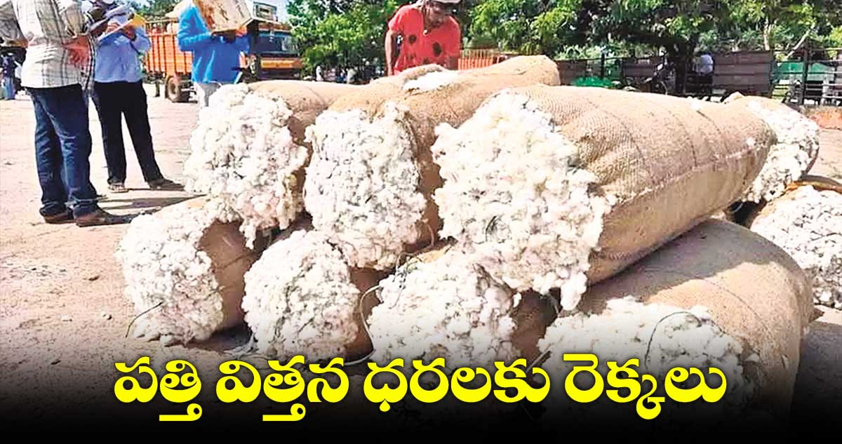 పత్తి విత్తన ధరలకు రెక్కలు.. ఒక్కో ప్యాకెట్పై రూ. 43 చొప్పున పెరుగుదల..