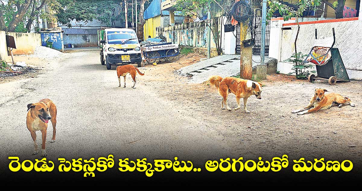 రెండు సెకన్లకో కుక్కకాటు.. అరగంటకో మరణం