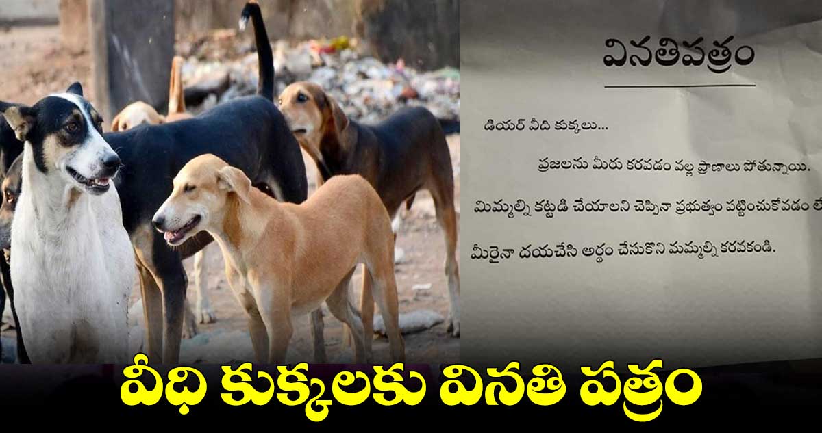 వీధి కుక్కలకు వినతి పత్రం.. ఫోటో వైరల్ 