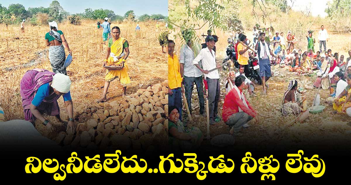 నిల్వనీడలేదు..గుక్కెడు నీళ్లు లేవు