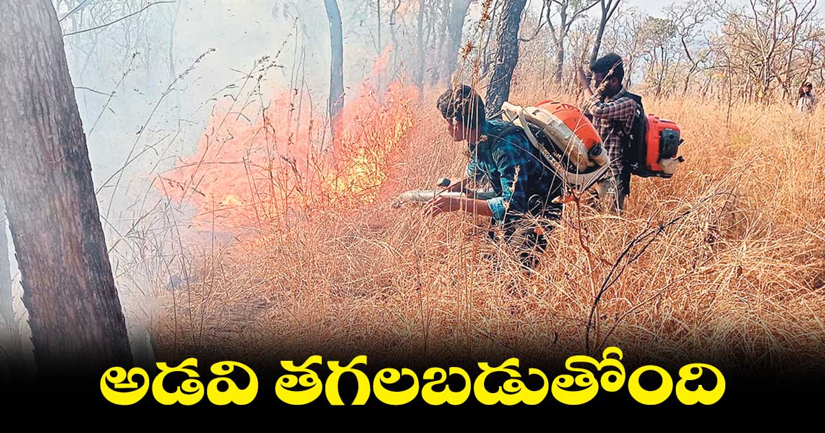 నల్లమలలో వేసవిలో  పెరుగుతున్న ప్రమాదాలు