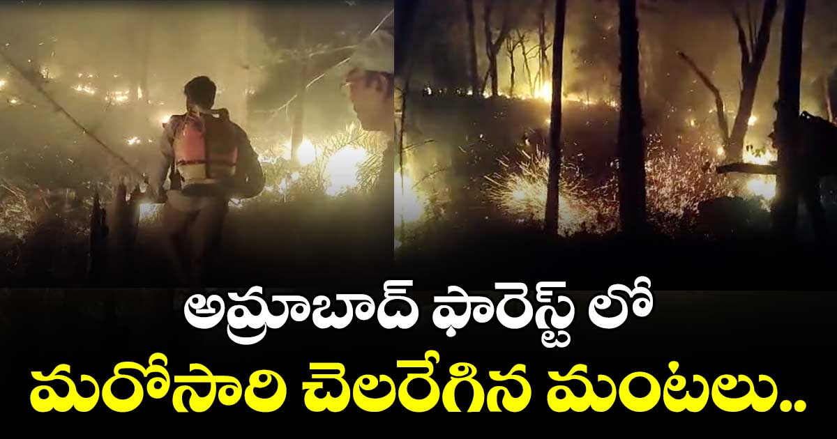 అమ్రాబాద్ ఫారెస్ట్ లో మరోసారి చెలరేగిన మంటలు..