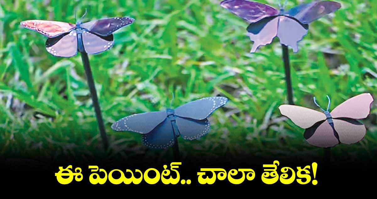కిలో పెయింట్తో విమానానికి కలరింగ్.. తేలికైన పెయింట్ను తయారుచేసిన సైంటిస్టులు