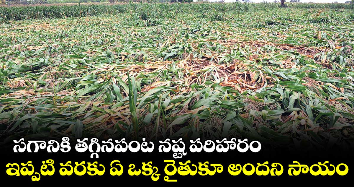 సగానికి తగ్గినపంట నష్ట పరిహారం.. ఇప్పటి వరకు ఏ ఒక్క రైతుకూ అందని సాయం