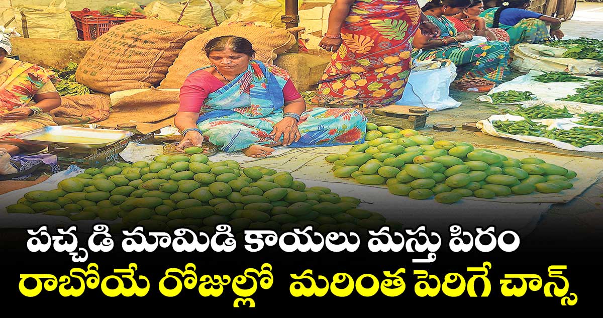 పచ్చడి మామిడి కాయలు మస్తు పిరం.. రాబోయే రోజుల్లో  మరింత పెరిగే చాన్స్ 