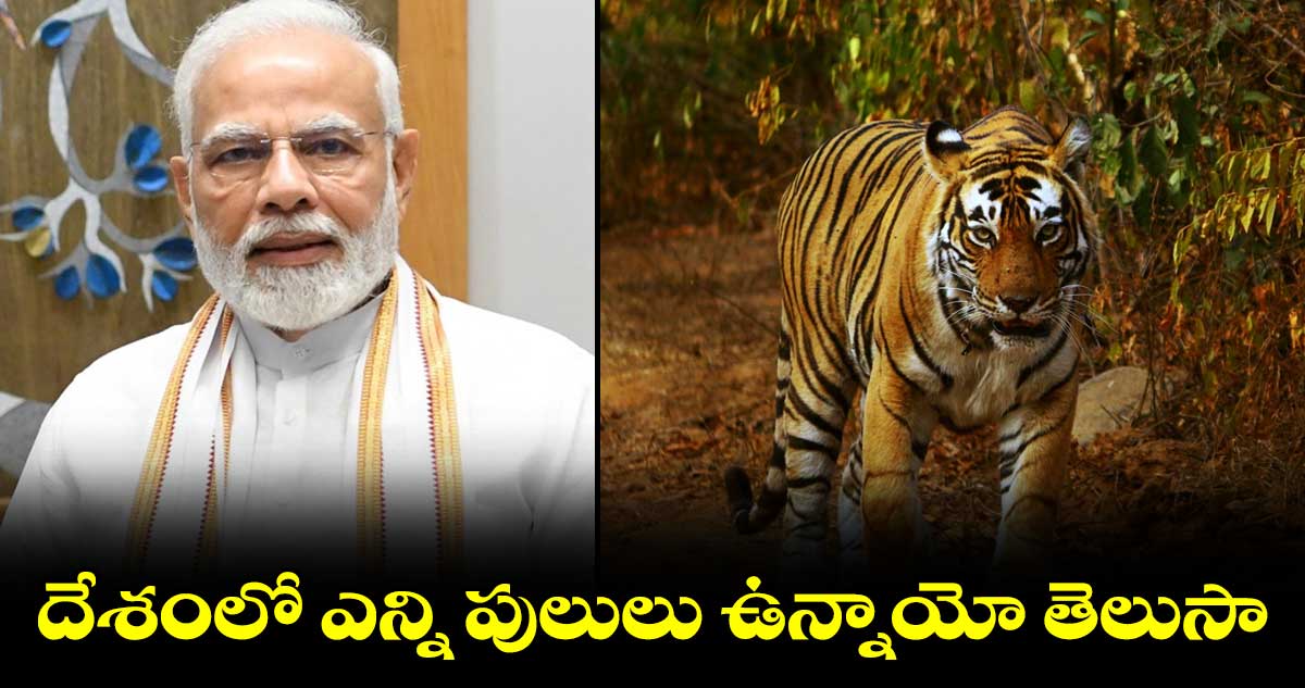 దేశంలో పులుల సంఖ్యను వెల్లడించిన ప్రధాని మోడీ