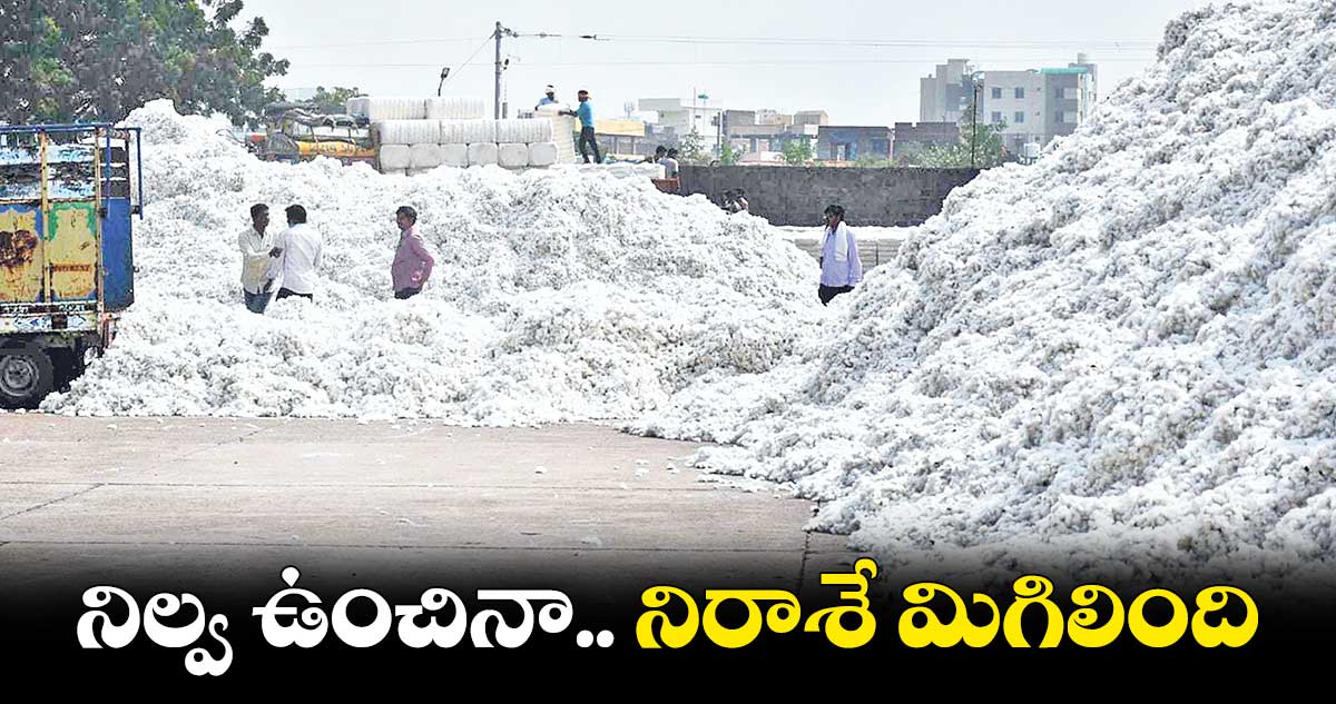 ఈ ఏడాది పత్తి రైతులకు నష్టాలే