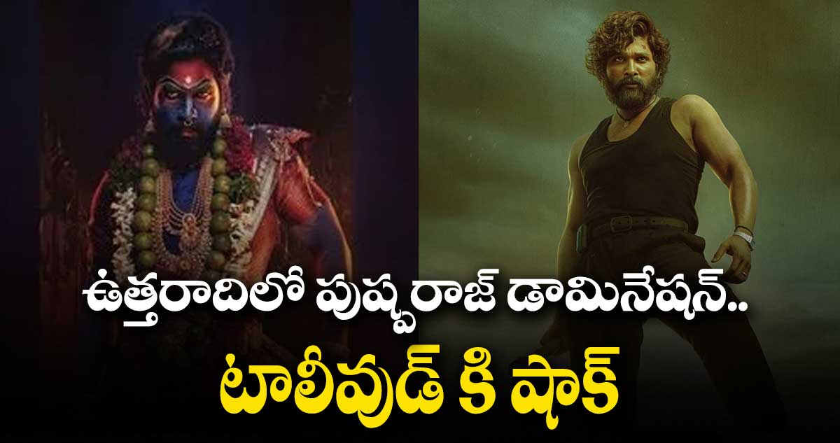 ఉత్తరాదిలో పుష్పరాజ్ డామినేషన్.. రికార్డులు బ్రేక్ చేస్తున్న హిందీ టీజర్