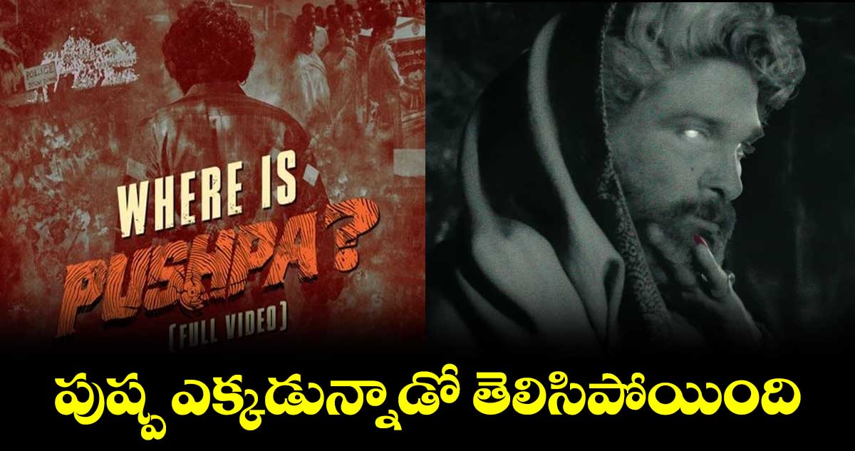 ‘పుష్ప- 2’ నుంచి స్పెషల్ వీడియో రిలీజ్.. బన్నీ లుక్ నెక్ట్స్ లెవల్