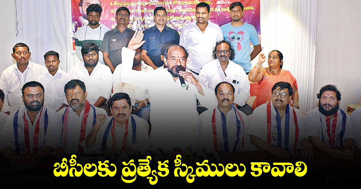 బీసీలకు ప్రత్యేక స్కీములు కావాలి.. ఎంపీ ఆర్.కృష్ణయ్య