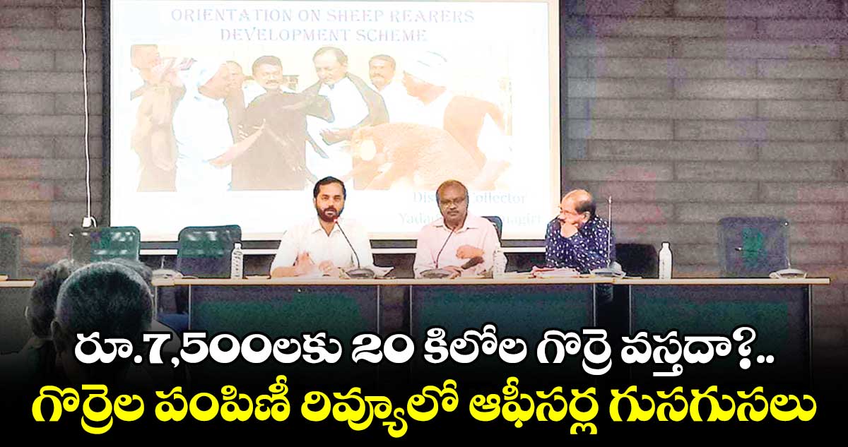 రూ.7,500లకు  20 కిలోల గొర్రె వస్తదా? .. గొర్రెల పంపిణీ రివ్యూలో ఆఫీసర్ల గుసగుసలు