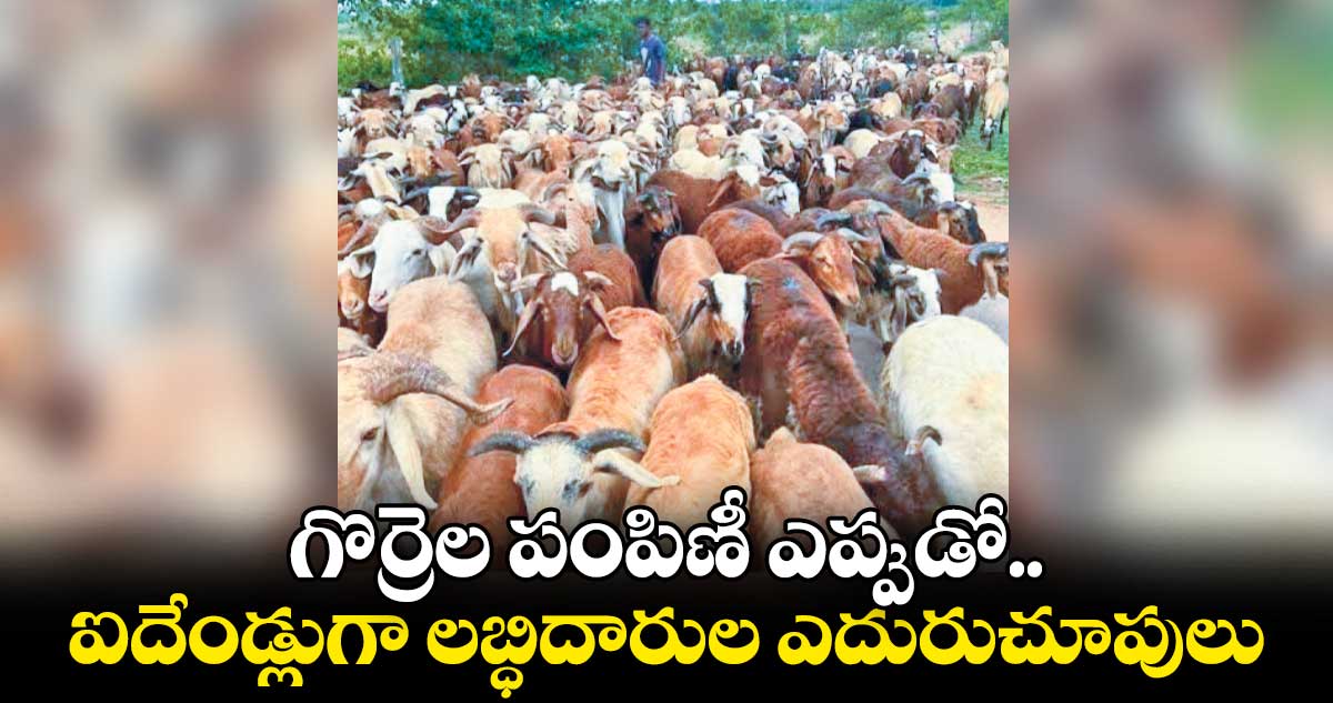 గొర్రెల పంపిణీ ఎప్పుడో.. ఐదేండ్లుగా లబ్ధిదారుల ఎదురుచూపులు 