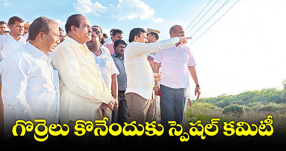 గొర్రెలు కొనేందుకు స్పెషల్ కమిటీ