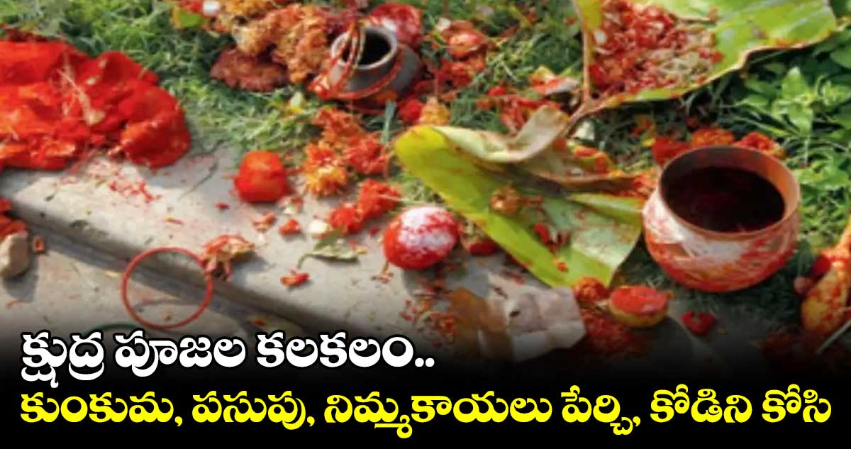 క్షుద్ర పూజల కలకలం.. కుంకుమ, పసుపు, నిమ్మకాయలు పేర్చి, కోడిని కోసి