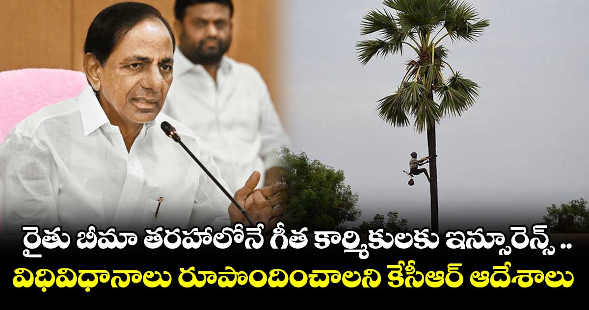 తెలంగాణలో రైతు బీమా తరహాలోనే మరో కొత్త పథకం