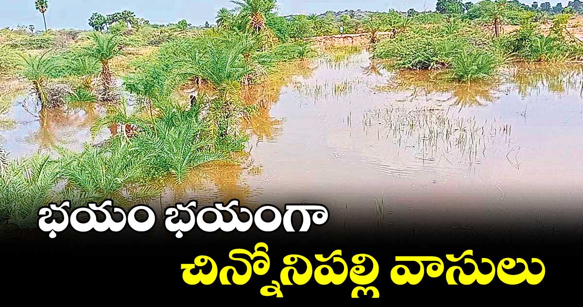 భయం భయంగా చిన్నోనిపల్లి వాసులు