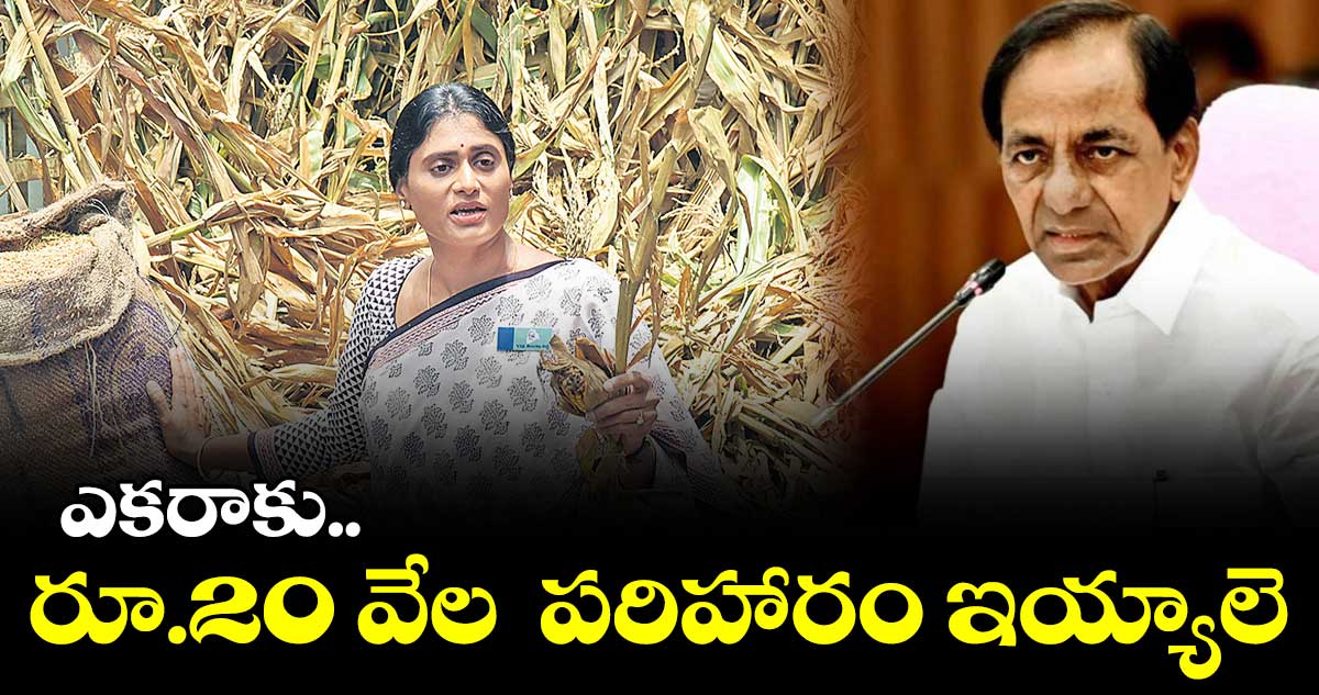 పది లక్షల ఎకరాల్లో పంట నష్టం జరిగింది: షర్మిల