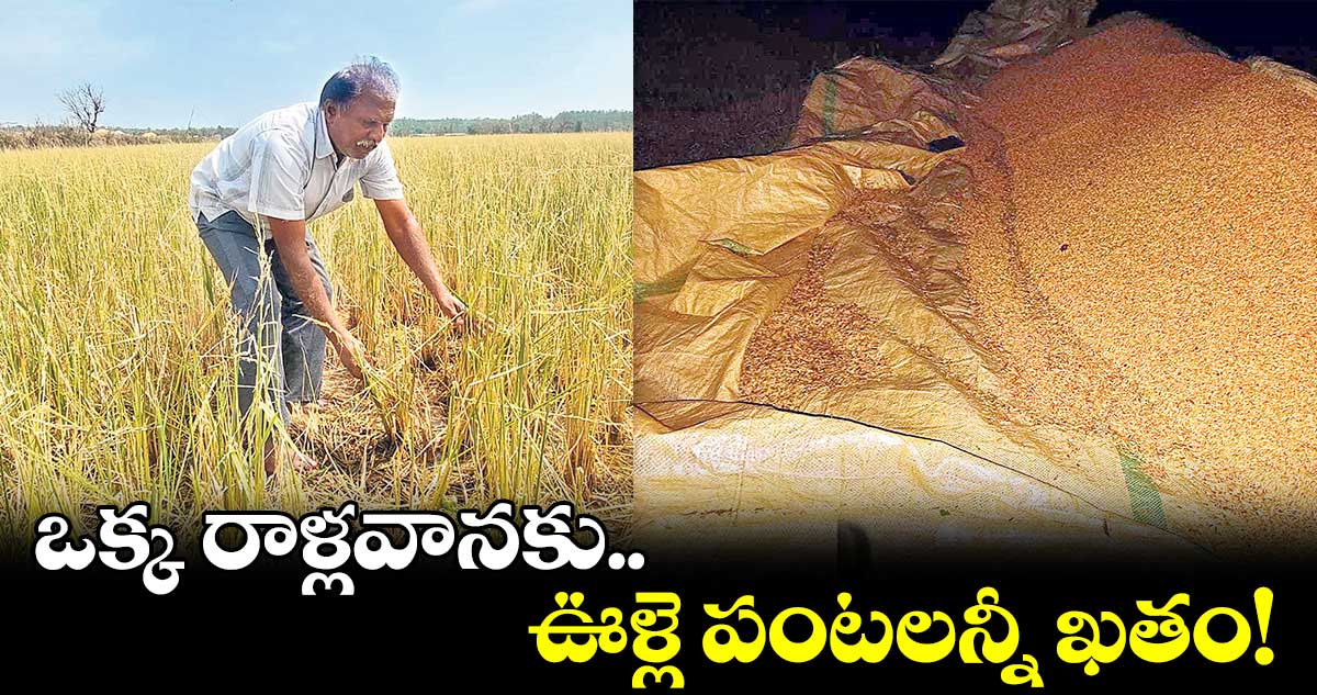 ఒక్క రాళ్లవానకుఊళ్లె పంటలన్నీ ఖతం!