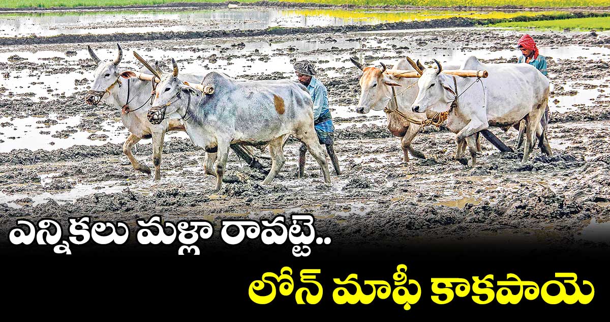 ఎన్నికలు మళ్లా రావట్టె.. లోన్ మాఫీ కాకపాయె