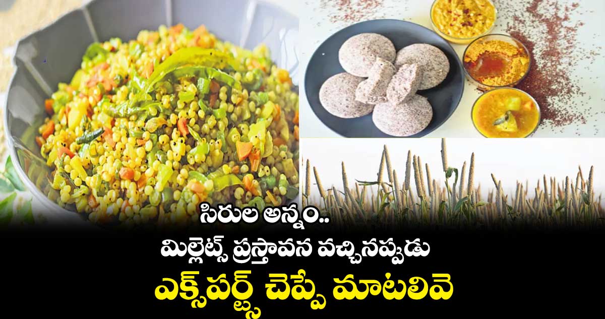 సిరుల అన్నం..మిల్లెట్స్​ ప్రస్తావన వచ్చినప్పుడు ఎక్స్​పర్ట్స్​ చెప్పే మాటలివె