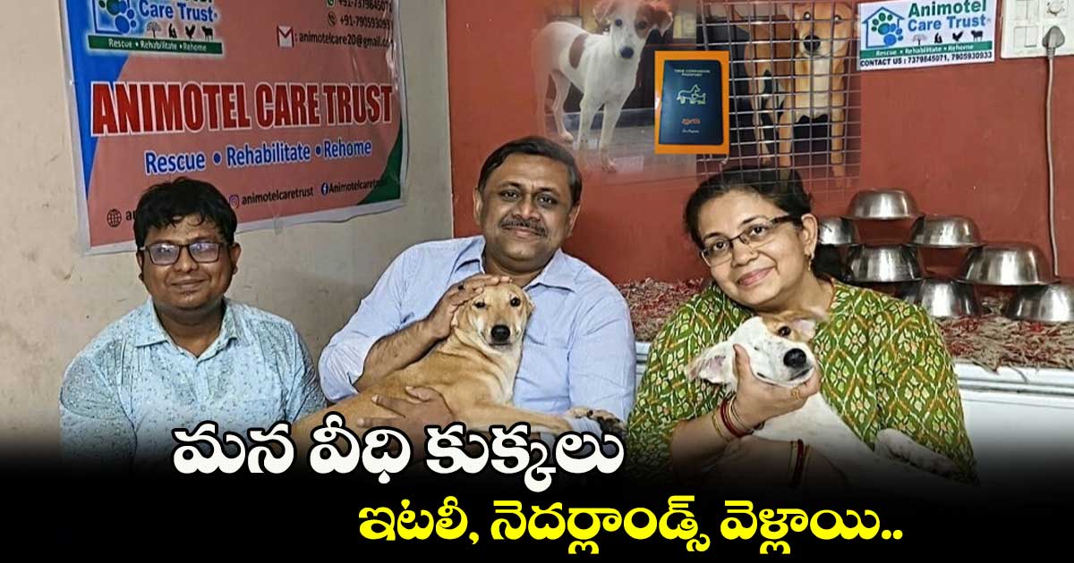 మన వీధి కుక్కలు ఇటలీ, నెదర్లాండ్స్ వెళ్లాయి..