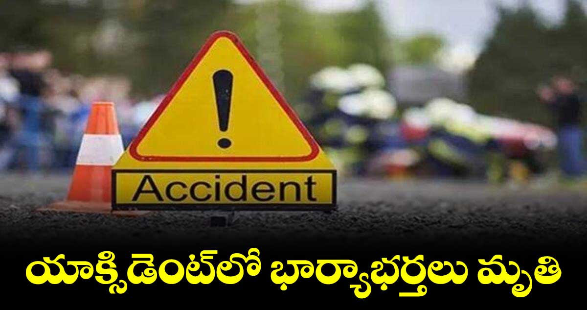 యాక్సిడెంట్​లో భార్యాభర్తలు మృతి