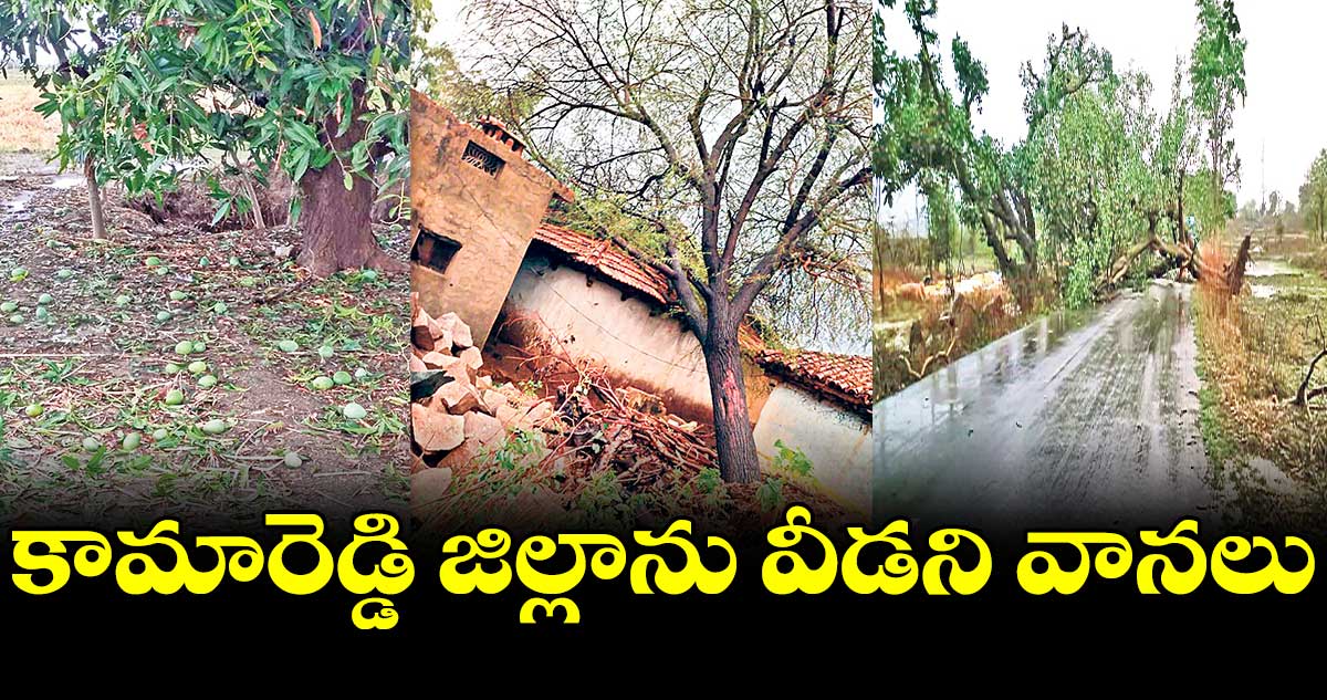 కామారెడ్డి జిల్లాను వీడని వానలు
