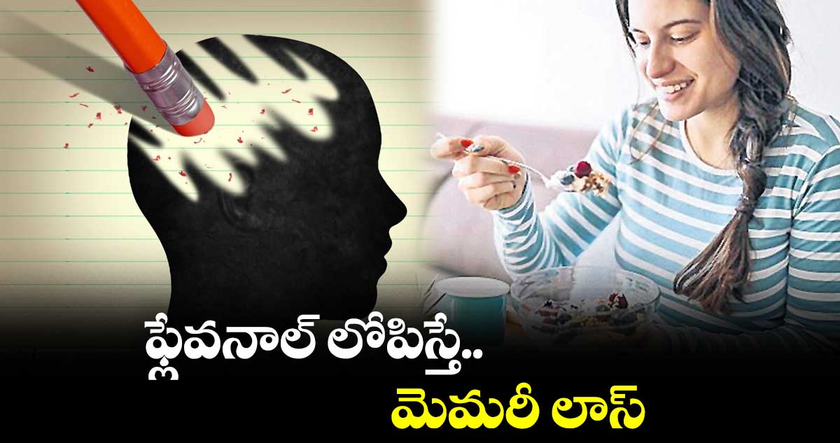 ఫ్లేవనాల్ లోపిస్తే.. మెమరీ లాస్ పెరుగుతుందంట 